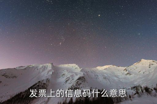 發票上的信息碼什么意思