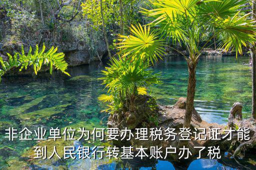 非企業單位為何要辦理稅務登記證才能到人民銀行轉基本賬戶辦了稅