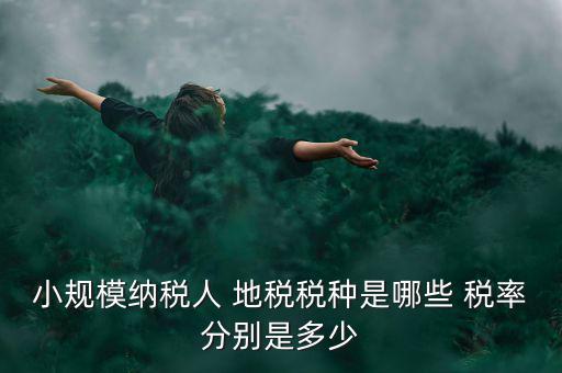 小規模納稅人 地稅稅種是哪些 稅率分別是多少