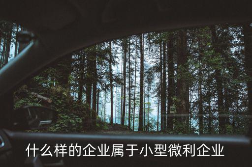 什么樣的企業屬于小型微利企業