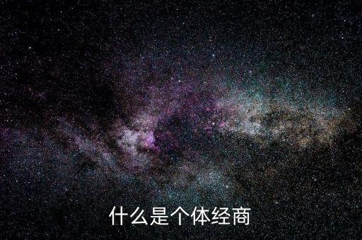 什么是個體經商