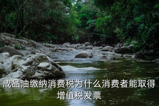 成品油繳納消費稅為什么消費者能取得增值稅發票