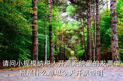 稅票申報是什么意思，納稅申報與申報納稅是一個意思嗎都是代理記賬的業務范疇嗎  搜