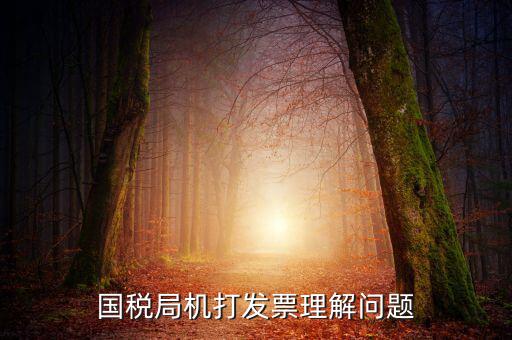 國稅局機打發票理解問題