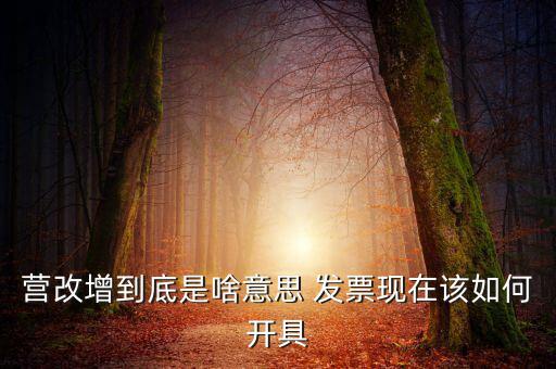 營改增到底是啥意思 發票現在該如何開具