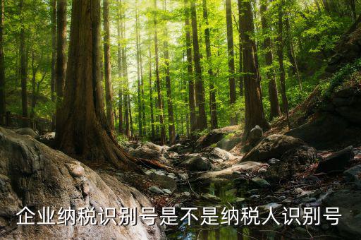企業納稅識別號是不是納稅人識別號