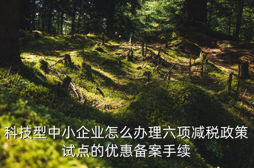科技型中小企業怎么辦理六項減稅政策試點的優惠備案手續