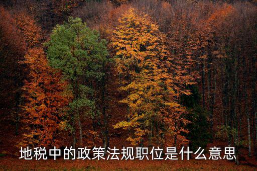 地稅中的政策法規職位是什么意思