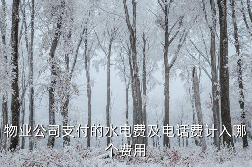 物業公司支付的水電費及電話費計入哪個費用