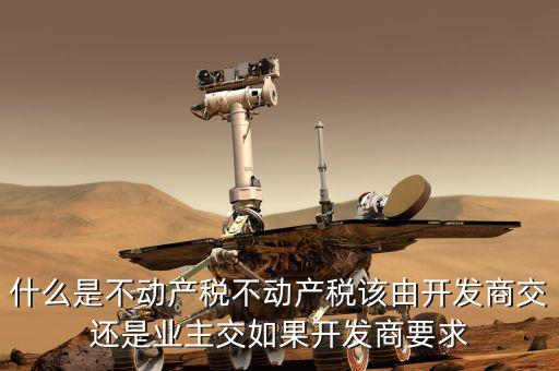 什么是不動產稅不動產稅該由開發商交還是業主交如果開發商要求