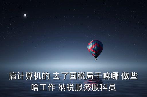 納服科是什么，搞計(jì)算機(jī)的 去了國稅局干嘛哪 做些啥工作 納稅服務(wù)股科員