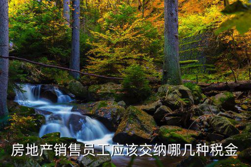 房地產銷售員工應該交納哪幾種稅金