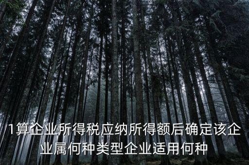 什么企業屬于小微企業所得稅，企業所得稅小微企業所得稅