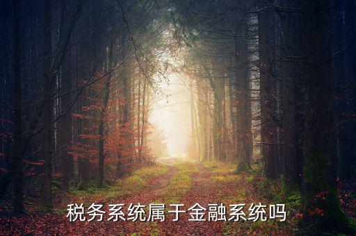 稅務系統屬于金融系統嗎