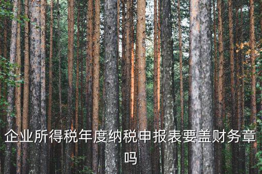 所得稅年報要蓋什么章，企業所得稅年度納稅申報表要蓋財務章嗎