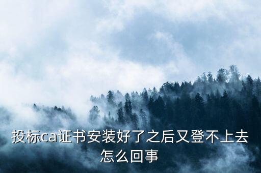 ca登陸不上是什么原因，登不上是怎么回事