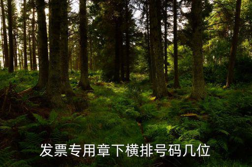 發票專用章的號碼是什么，發票專用章和公章上的號碼是一樣的不都是執業許可證號