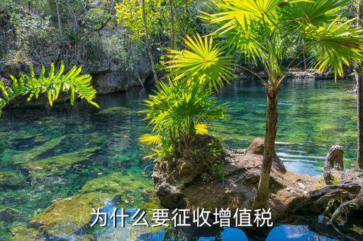 境外勞務為什么要交增值稅，為什么要交增值稅