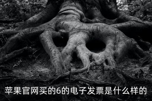 蘋果官網買的6的電子發票是什么樣的