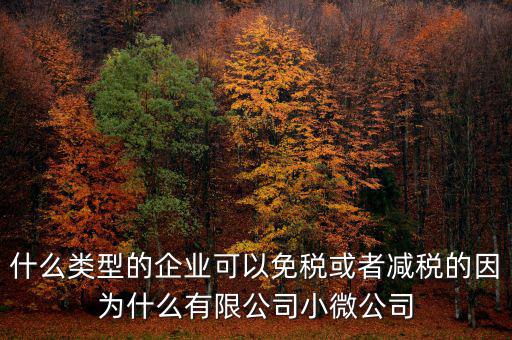 什么類型的企業可以免稅或者減稅的因為什么有限公司小微公司