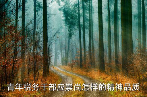 中國稅務精神是什么，在稅務工作中應該樹立什么樣的精神