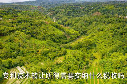 專利技術轉讓所得需要交納什么稅收嗎