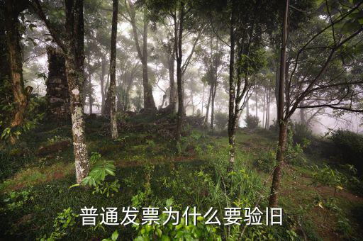 普通發票為什么要驗舊