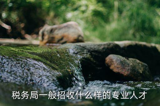 什么專業(yè)可進(jìn)稅務(wù)所，稅務(wù)局一般招收什么樣的專業(yè)人才