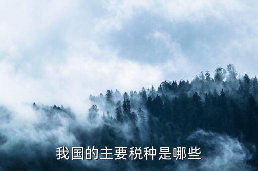 中國三大稅收是什么，中國境內的稅收種類