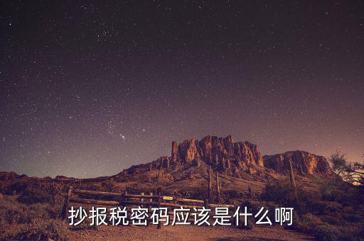 抄報稅密碼應該是什么啊