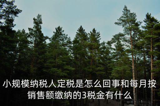 小規模納稅人定稅是怎么回事和每月按銷售額繳納的3稅金有什么