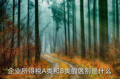 什么叫a類企業所得稅，所得稅申報怎么區分A類包括哪些企業