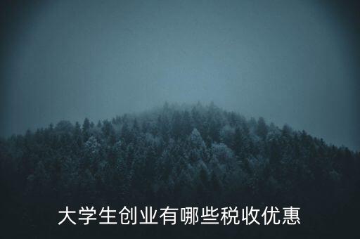 學校有什么稅收優惠，大學生創業有哪些稅收優惠