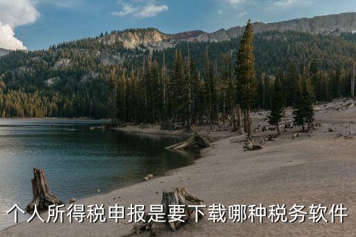 個人所得稅申報是要下載哪種稅務軟件