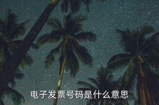 電子發票號碼是什么意思