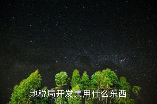 地稅局開發票用什么東西