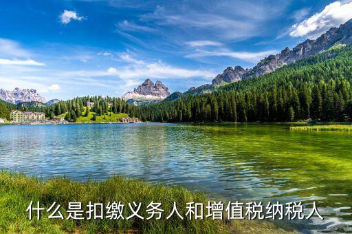 增值稅扣繳義務是什么，增值稅的扣繳義務人是怎樣規定的求解