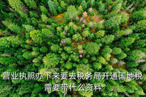 有了營業執照要帶什么去辦稅，拿到營業執照銀行開戶后去辦稅帶什么證件