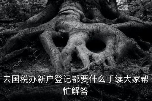 去國稅辦新戶登記都要什么手續大家幫忙解答