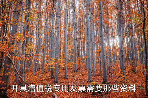 開具增值稅專用發票需要那些資料