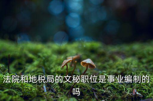 法院和地稅局的文秘職位是事業編制的嗎