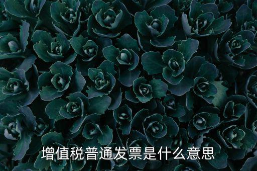 增值稅普通發票是什么意思