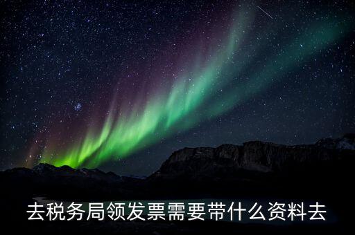 去稅務局領發票需要帶什么資料去