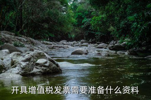 開具增值稅發票需要準備什么資料