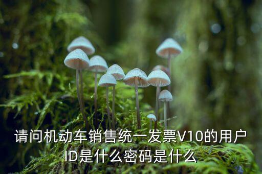 發票登錄密碼是什么，國稅局發票軟件里用戶代碼和密碼是什么