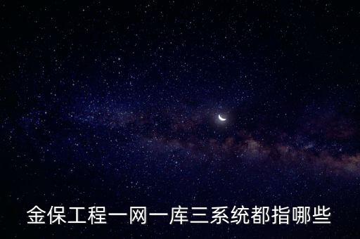 金保工程一網一庫三系統都指哪些