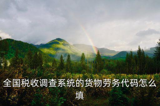 商品和勞務編碼是什么，貨物勞務代碼如何填