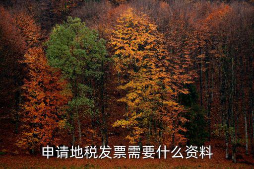 地稅局開票需要帶什么，申請地稅發(fā)票需要什么資料