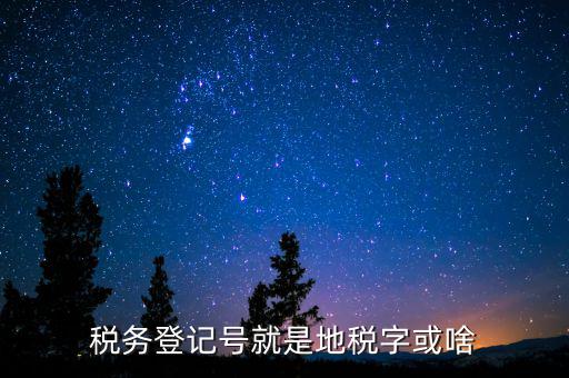 國稅地稅登記號是什么意思，稅務登記號就是地稅字或啥