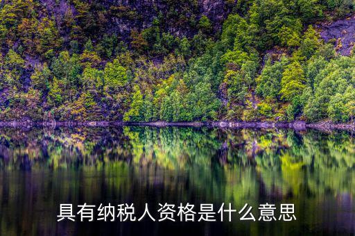 單位納稅資質是什么，具有納稅人資格是什么意思